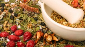 Lavera Herbstpflege für sensible Haut