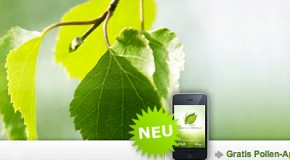 PollenApp bei Heuschnupfen