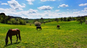 Glutenfreier Urlaub im Erzgebirge