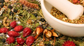 Pflegende und dekorative Kosmetik für Vegetarier und Veganer