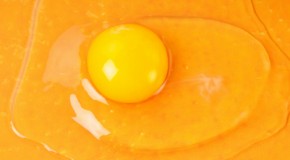 Desensibilisierung bei Nahrungsmittelallergien