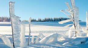 Kälteallergie: Ein Mythos?