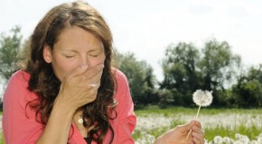 Kreuzallergie im Doppelpack: Teil 2