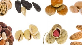 FAQ: Lebensmittel-Allergie