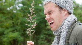 Dauerschnupfen oder Allergie?
