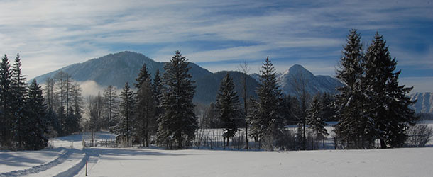 Neurodermitis im Winter