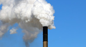 Luftverschmutzung erhöht Allergie-Risiko
