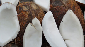 Kokosmilcheis – gluten- und laktosefrei