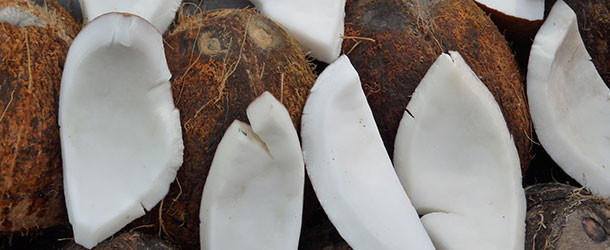 Kokosmilcheis – gluten- und laktosefrei