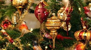Weihnachtsbaum – Gefahren für Allergiker