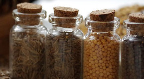 Senfallergie: Vorsicht vor Kreuzallergenen