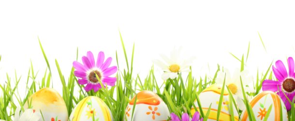 Ostereier färben mit Naturfarben